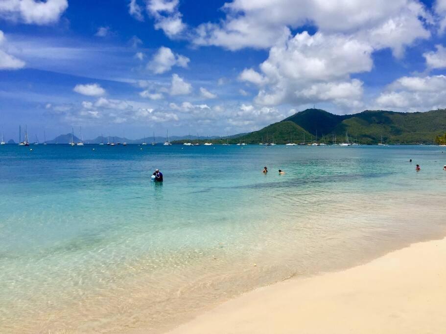 Hamo Cosy Piscine Proche Plage 생트안느 외부 사진