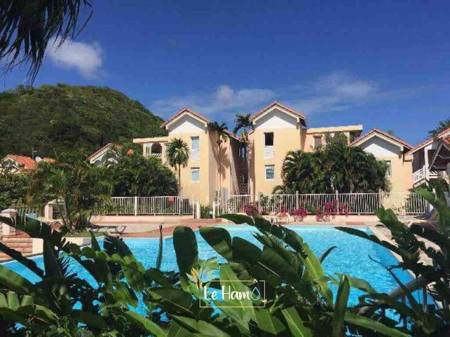 Hamo Cosy Piscine Proche Plage 생트안느 외부 사진