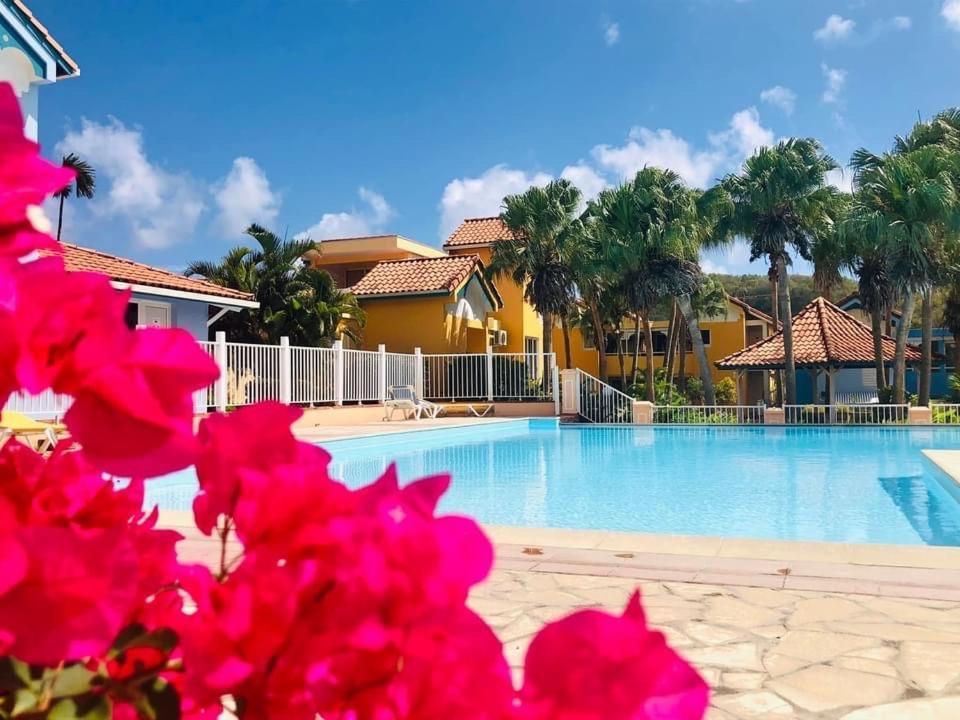Hamo Cosy Piscine Proche Plage 생트안느 외부 사진